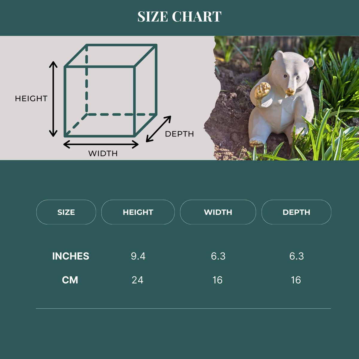 Honey bear size chart showing 24 cm high, 16 cm wide and 16 cm deep