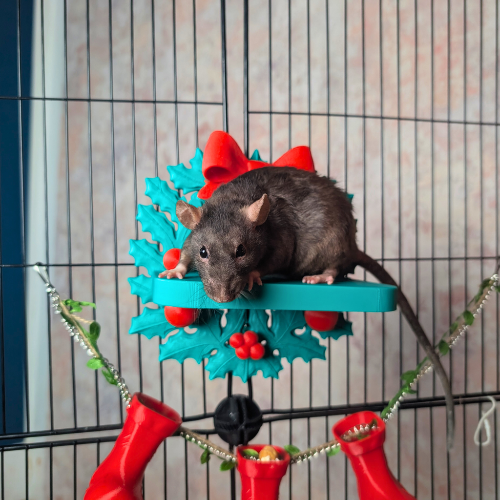 Christmas Rat Collection Set | Rat Enrichment Toy Bundle | Christmas Pet Accessories Small Animal Hide
