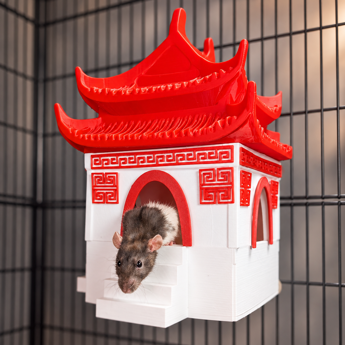 Chinese-temple rat hide