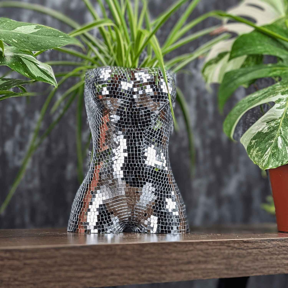 Glam Goddess Mirror Planter front view showing planting area
