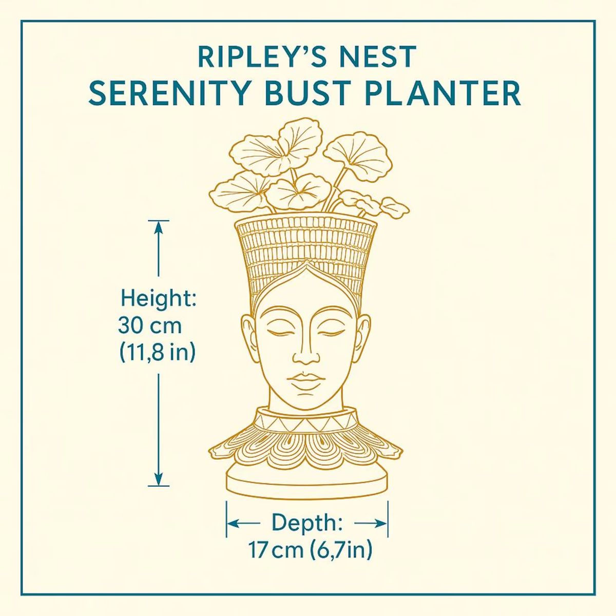 Nefertari head planter dimensions