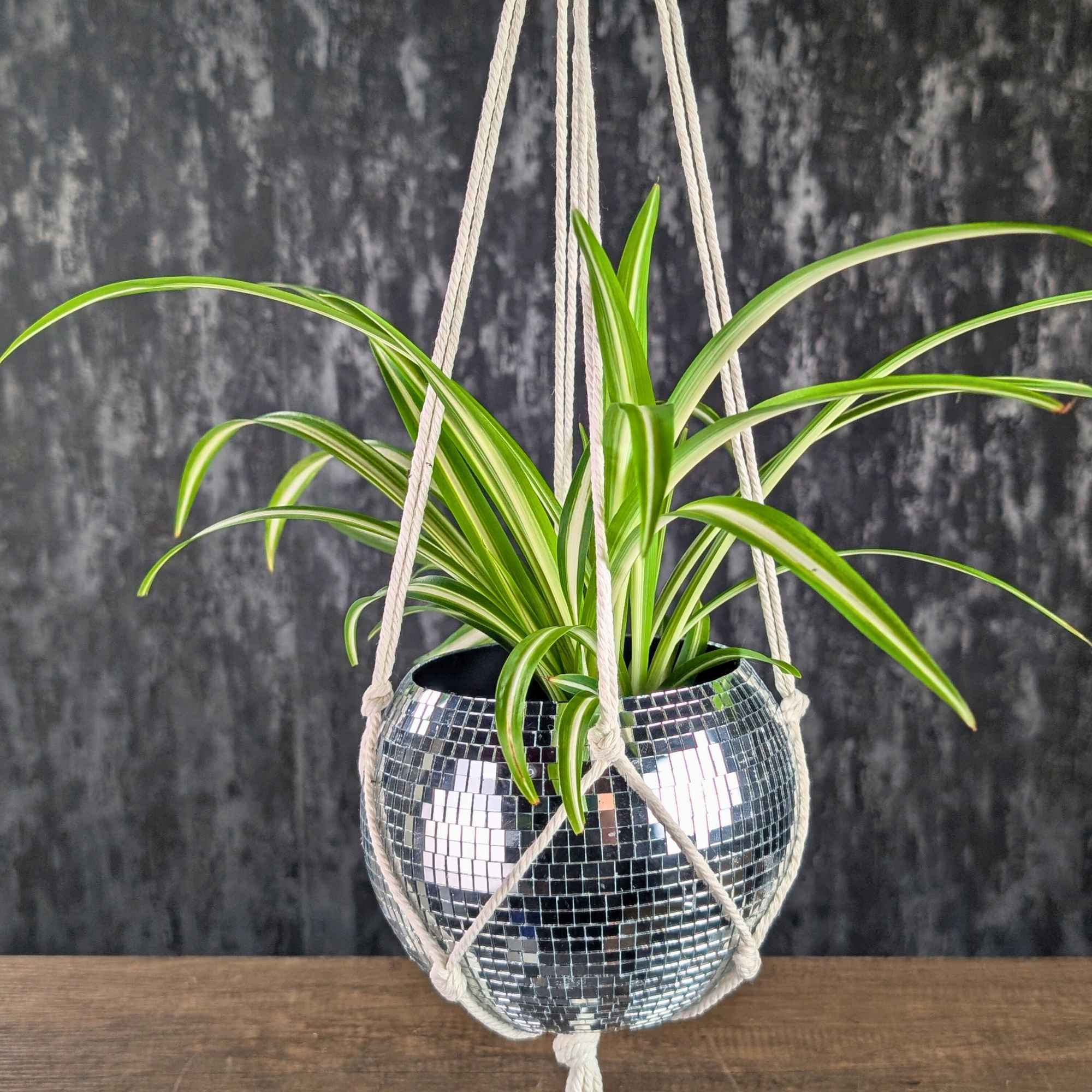 Disco Ball Hanging Planter