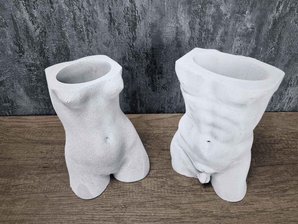 David & Venus Statue Pots styled in home setting