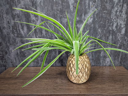 Golden Pineapple Planter