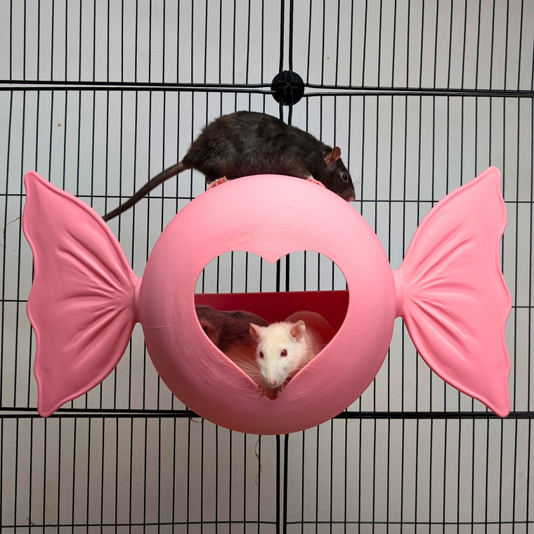 Sweetheart Hideaway - handmade cage accessory | Ripleys Nest