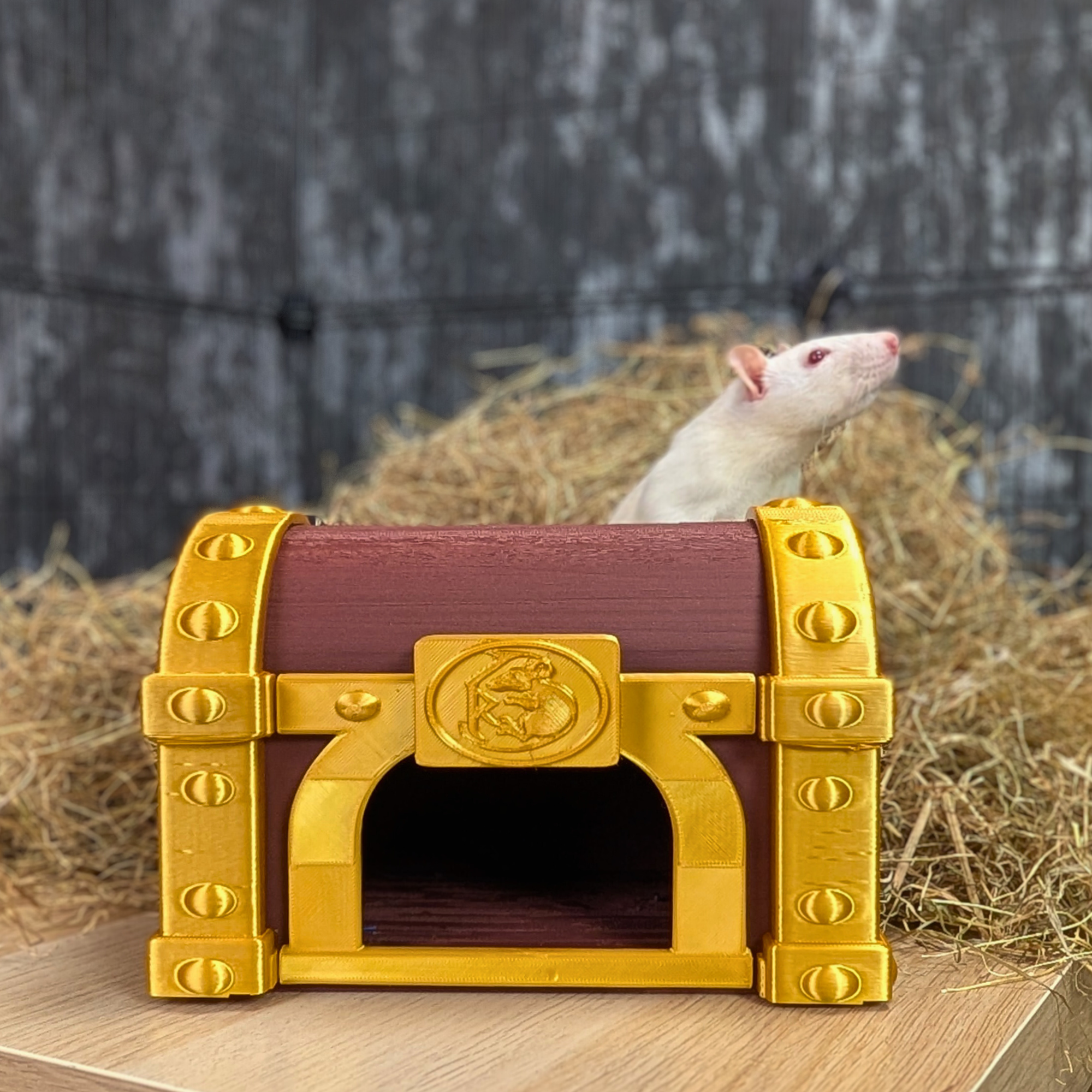 Treasure Chest Rat Hide