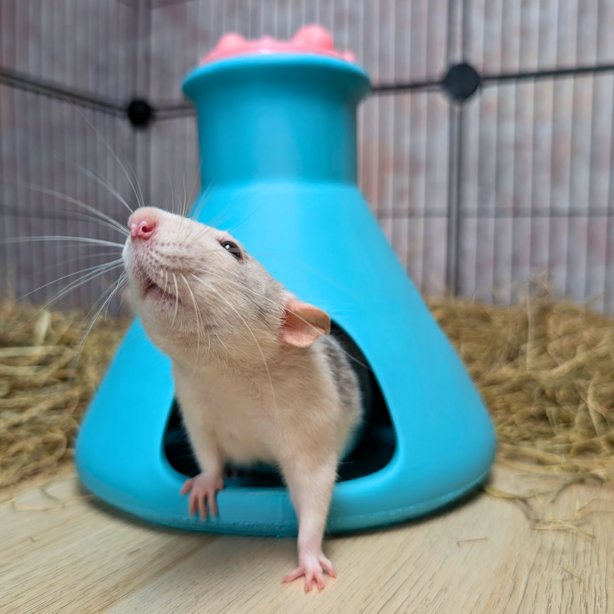 Rat House | 3D Printed Science Flask Hideout