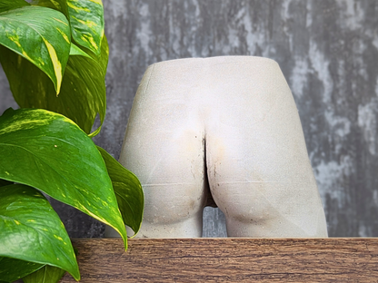 Cheeky Chic Planter