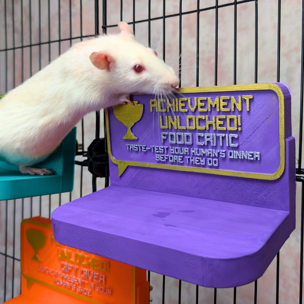 Cute Rat Toy & Custom Shelf