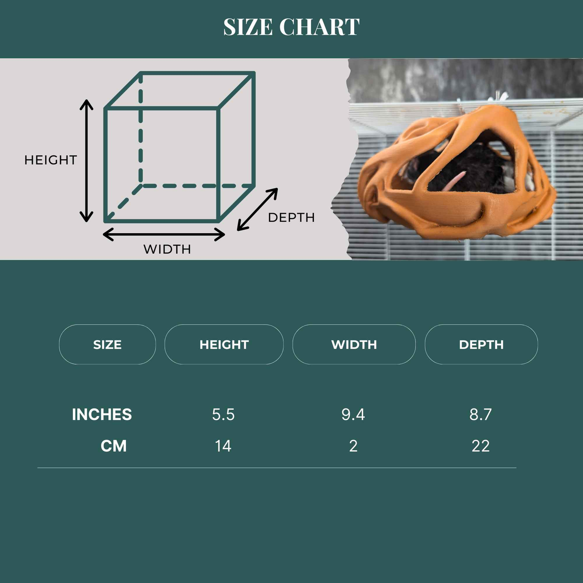 Natural Root Burrow Rat Hideaway top-down view showing interior