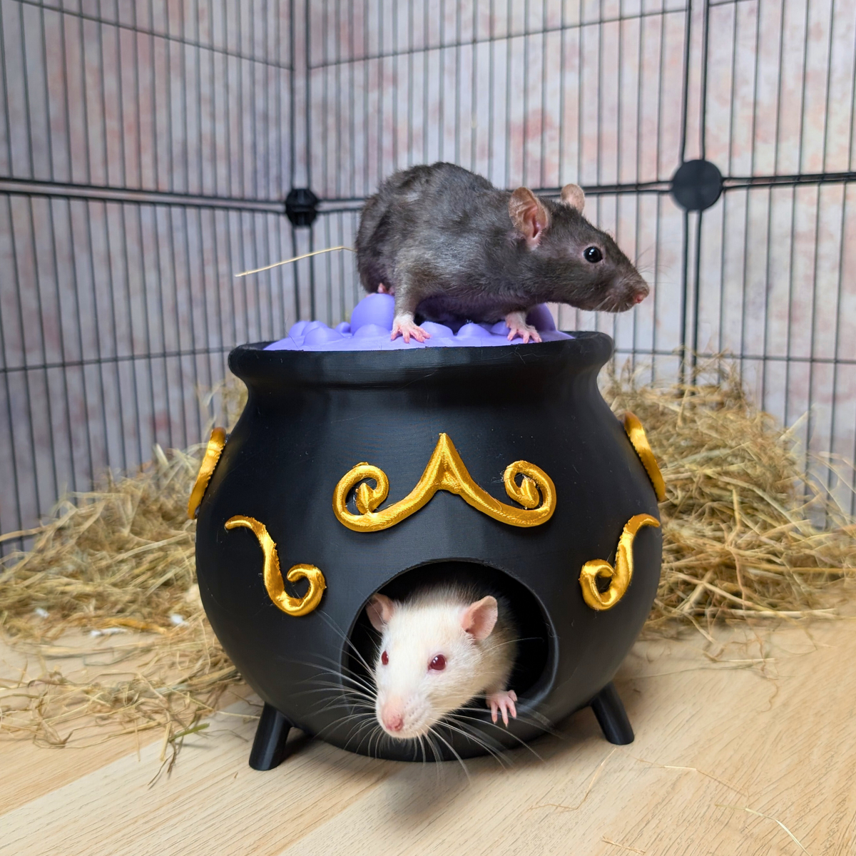 Rat Hide Witch Cauldron - handcrafted cage accessory | Ripleys Nest
