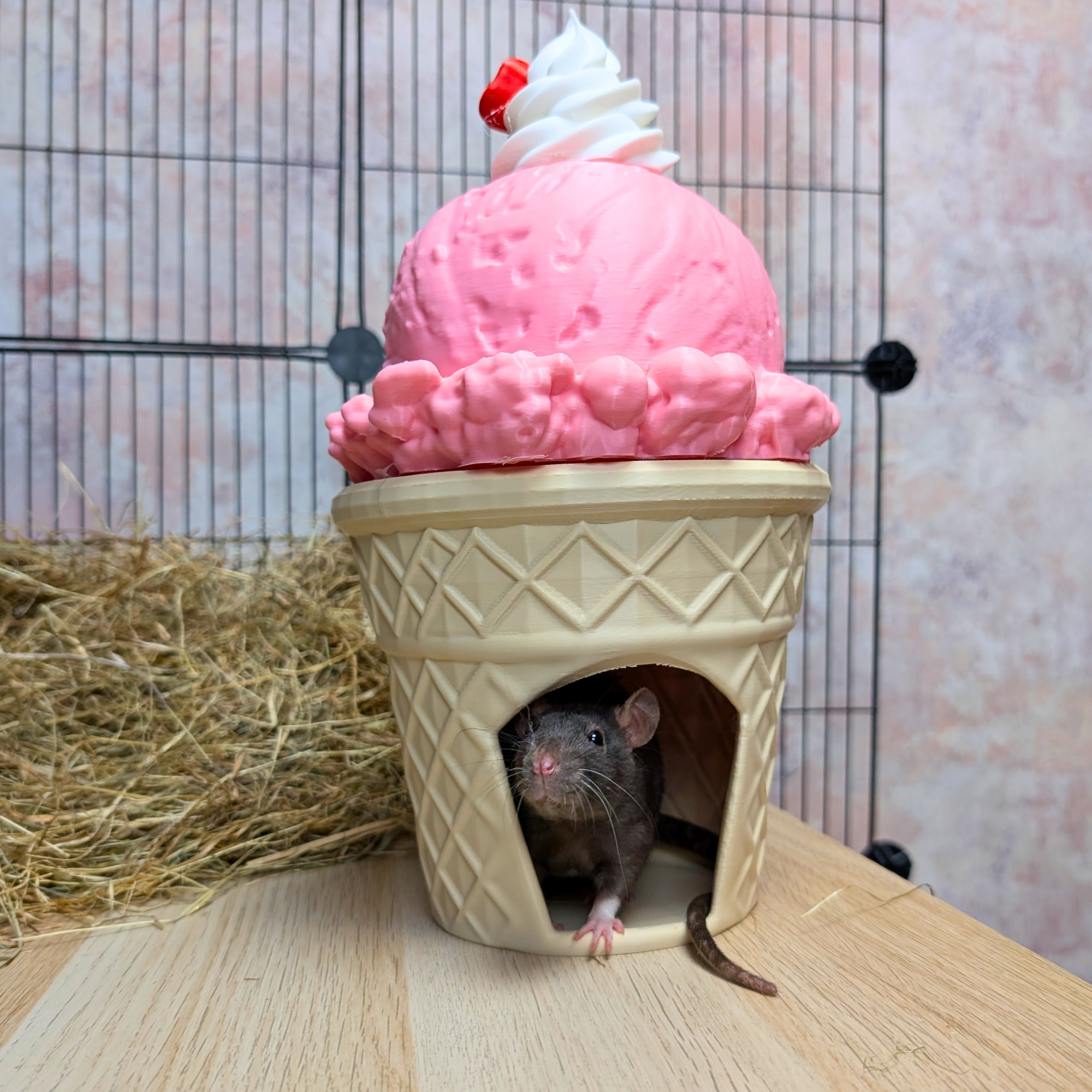 Strawberry Ice Cream Cone Cave for Cage