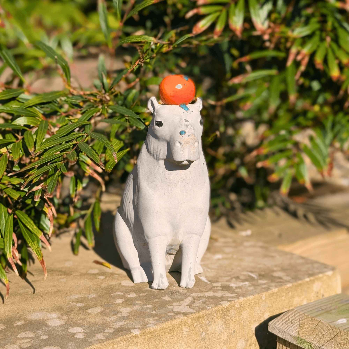 Capybara with Orange Concrete Sculpture