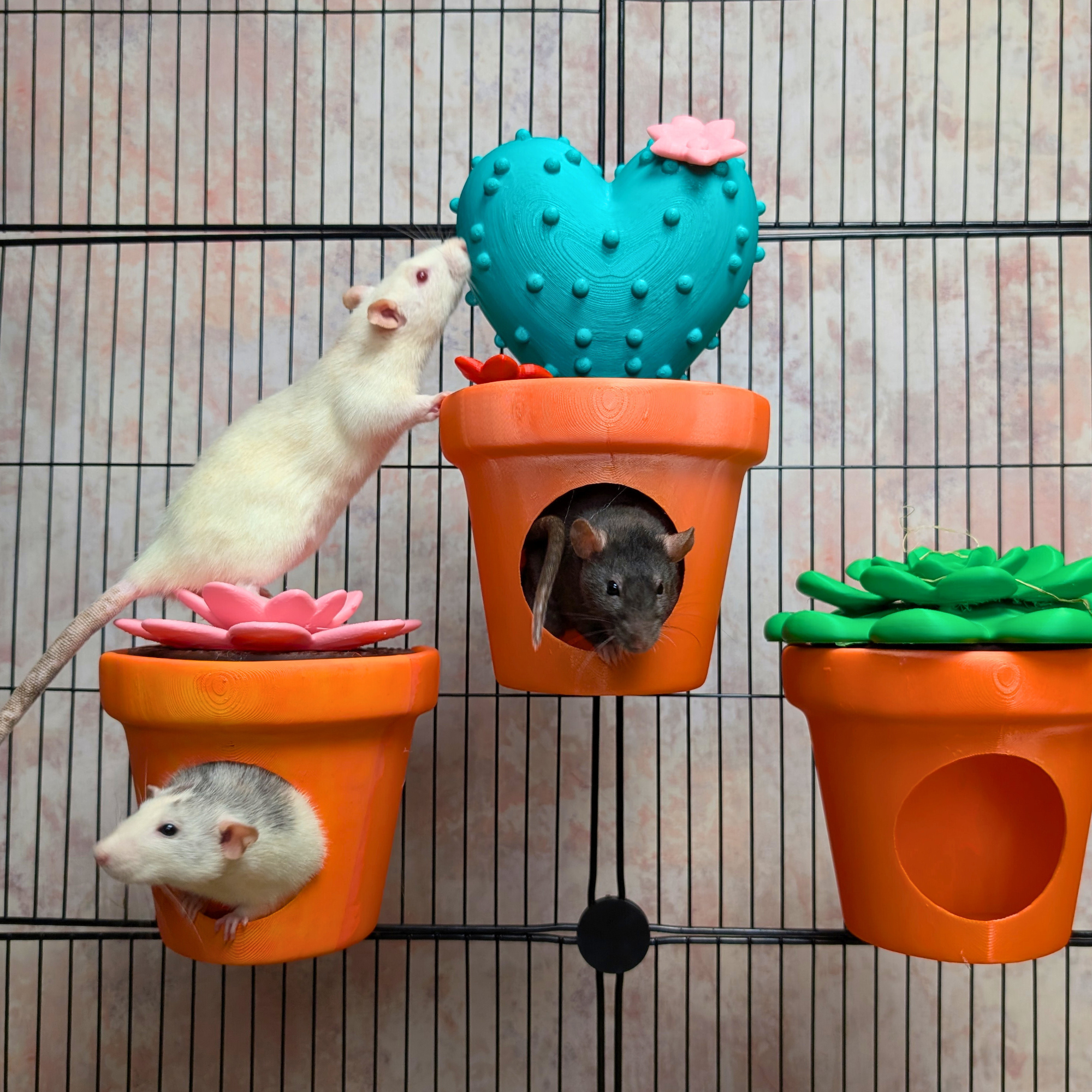 Rat Hide Cactus Pot | 3D Printed Small Animal House