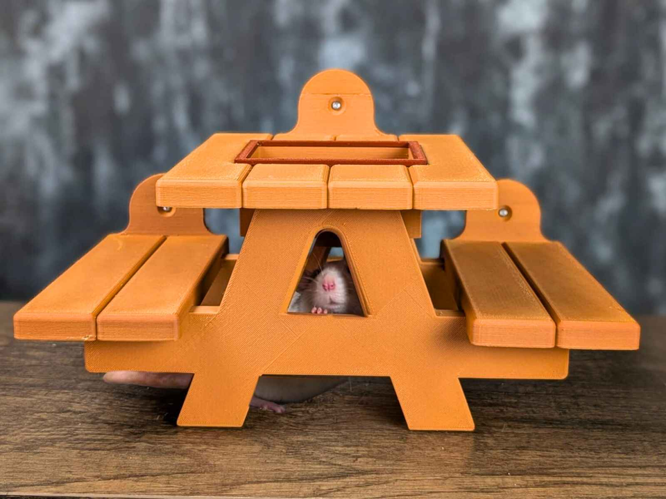 Rat Picnic Bench Food Bowl size reference for scale