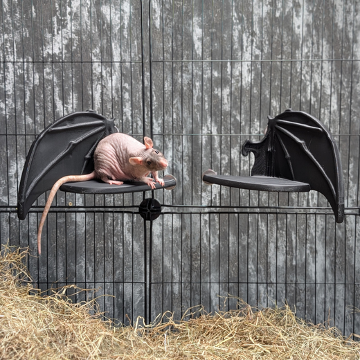 Gothic Bat Wing Rat Cage Shelf Perch - handmade cage shelf set | Ripleys Nest