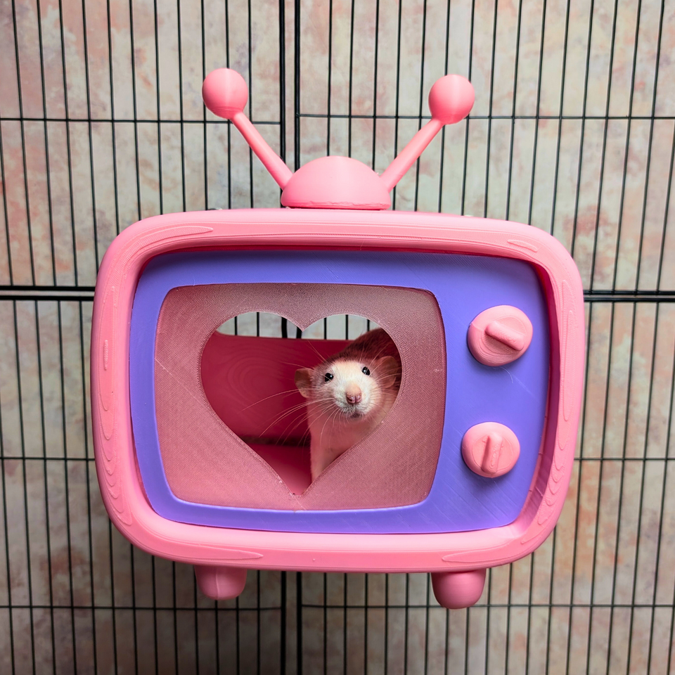 Retro TV Rat Hide styled in home setting