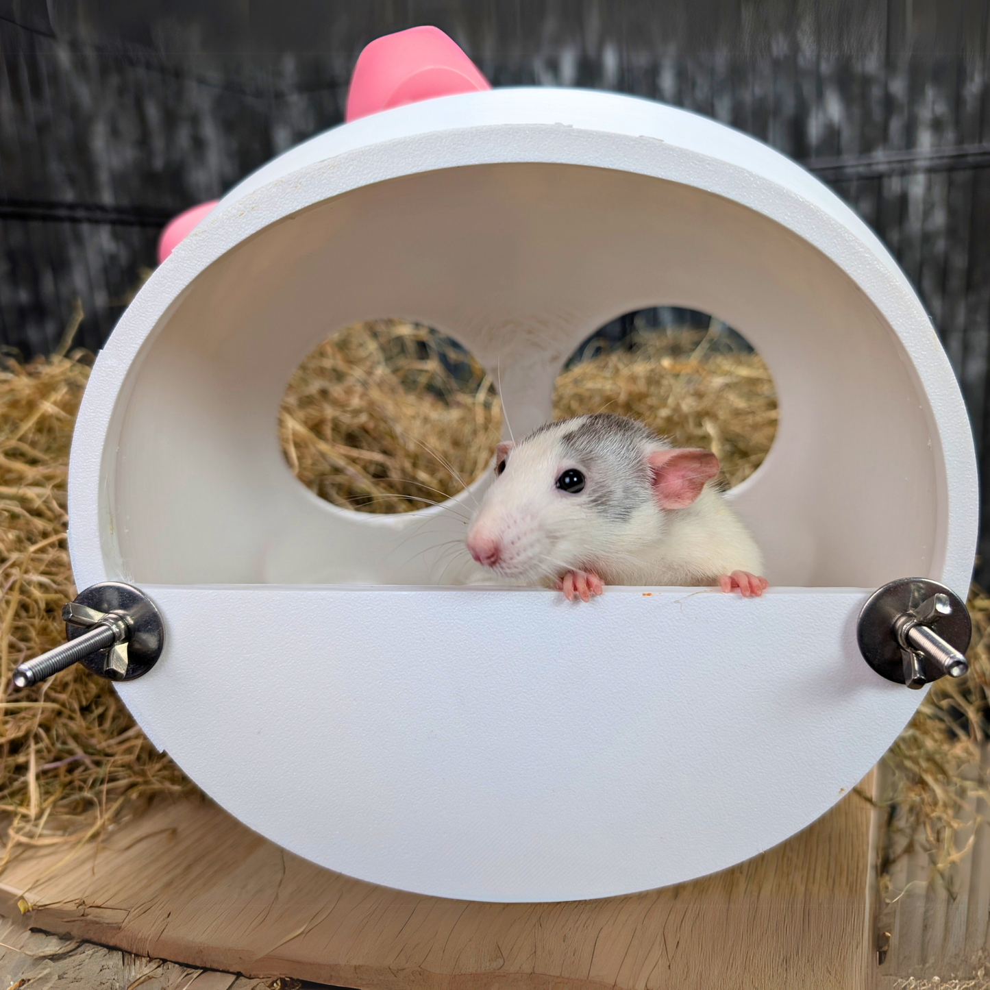 Kawaii Goth Skull Rat Hide