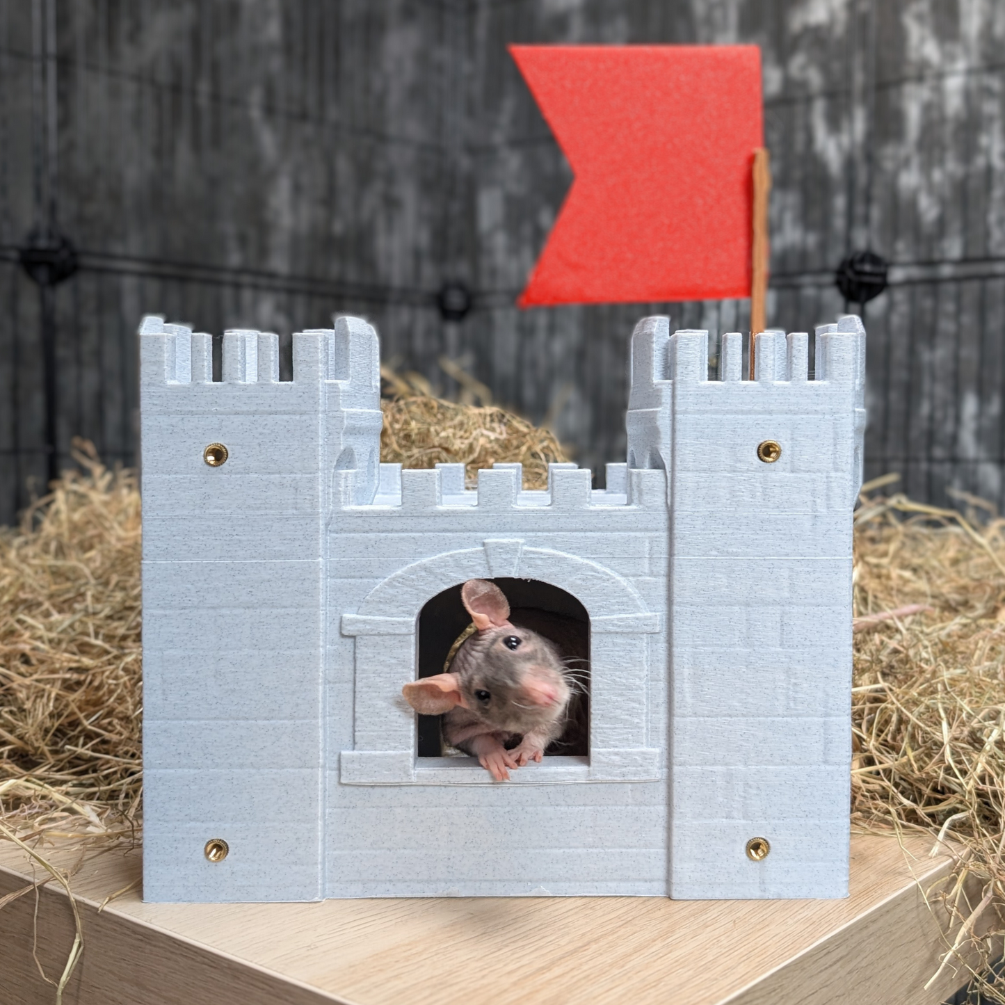 Castle Rat Hide