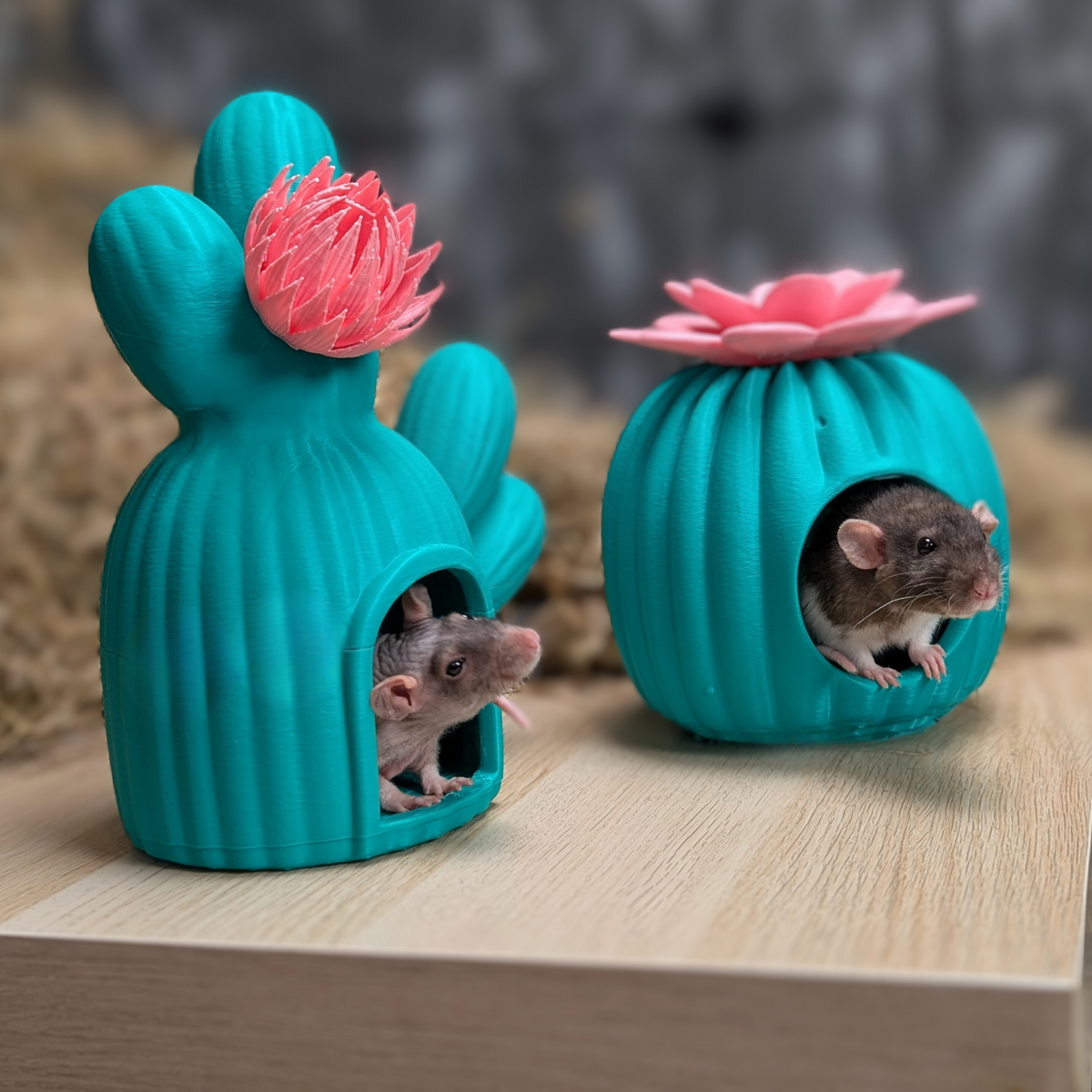 Cactus Rat House & Pet Bed - handcrafted cage accessory | Ripleys Nest