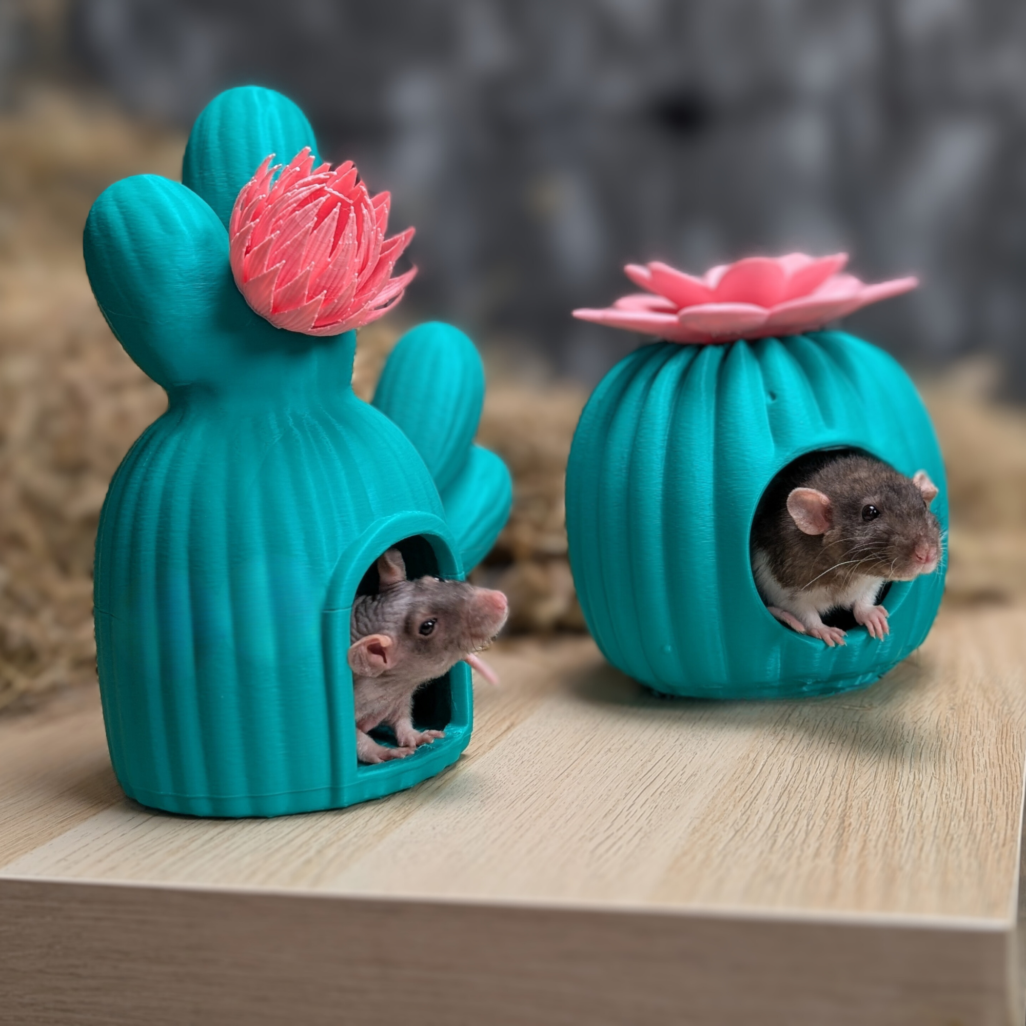 Cactus Rat House & Pet Bed