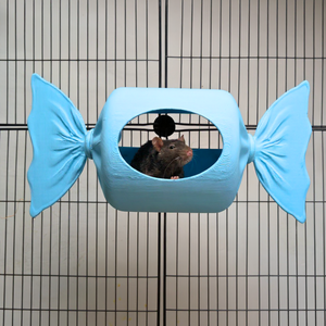Blue Sweetie Rat Hide & Bed