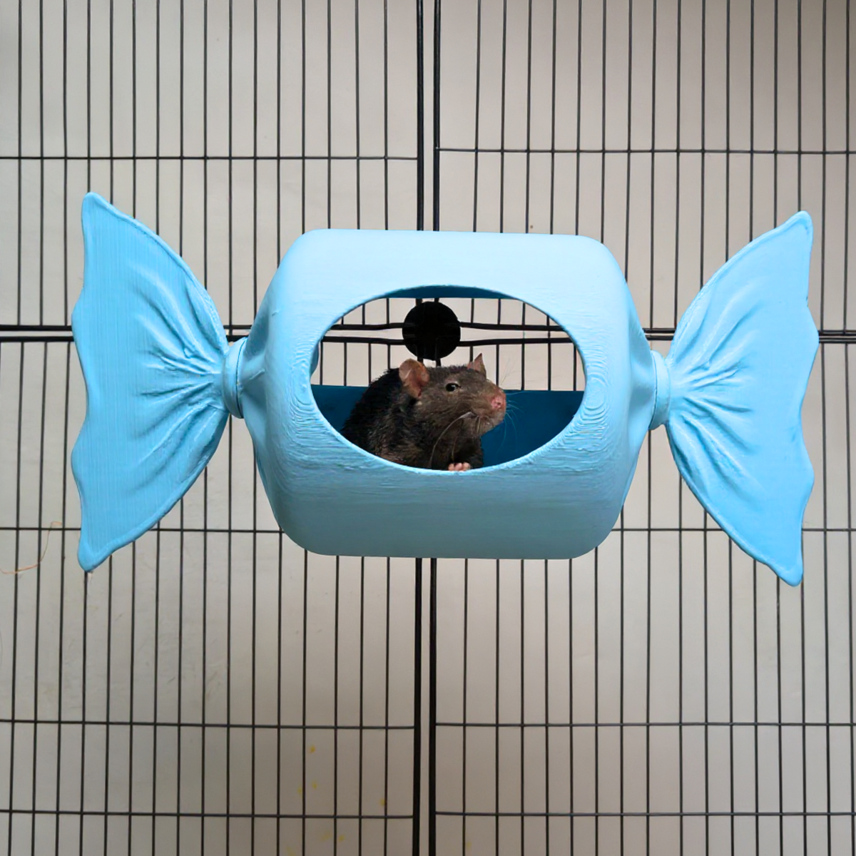 Blue Sweetie Rat Hide & Bed - handcrafted cage accessory | Ripleys Nest