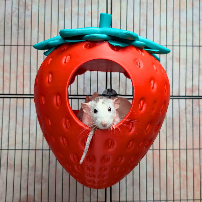 Strawberry Rat Hide | 3D Printed Pet Bed | Ripley's Nest