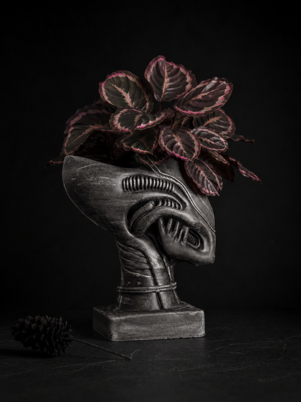 Xenophyte sculptural indoor plant pot with dark painted finish