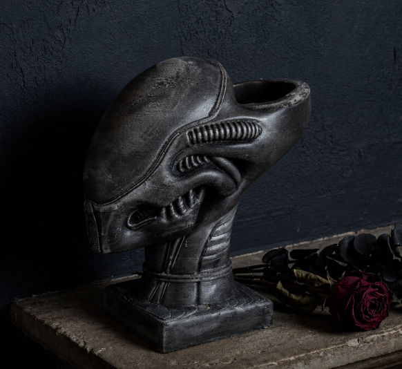 Xenophyte planter on shelf with dark wall and dried rose