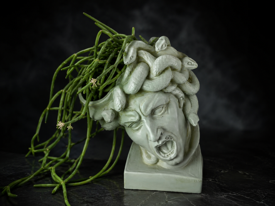 Front view of The Gorgon's Bloom Medusa planter with snake detail
