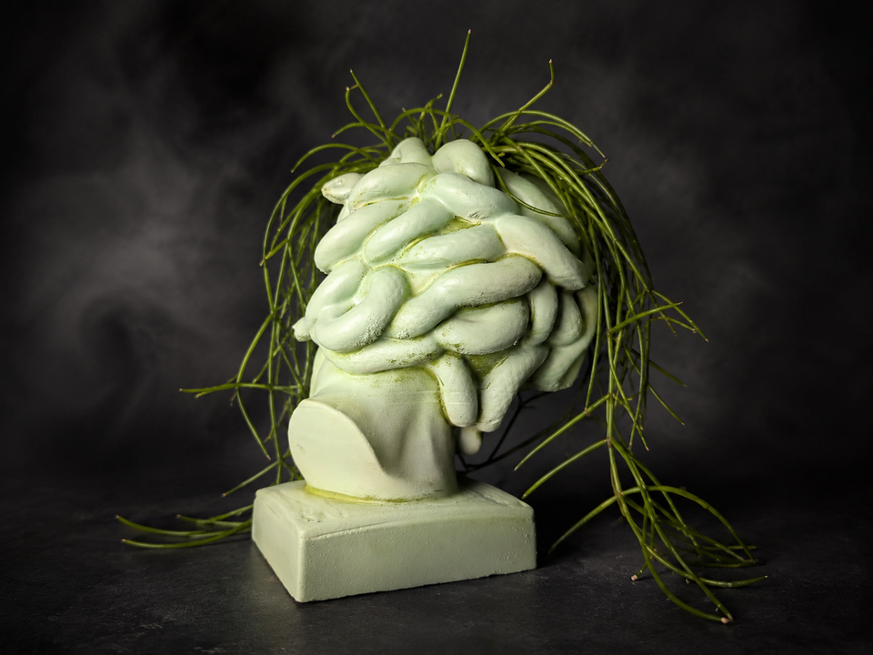 Rear view of Medusa cast stone planter with snake hair detail