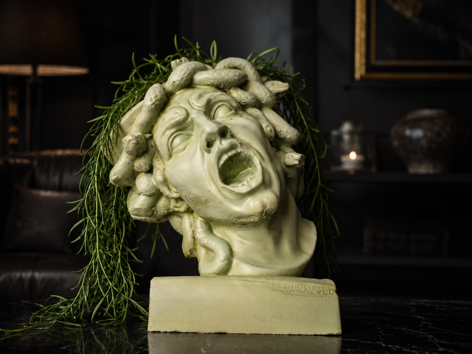 The Gorgon's Bloom cast stone plant pot in dark interior setting