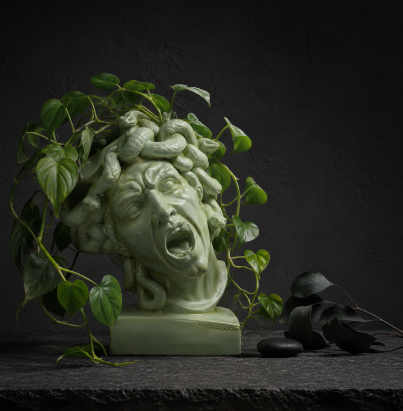 The Gorgon's Bloom Medusa planter on stone shelf with green plant