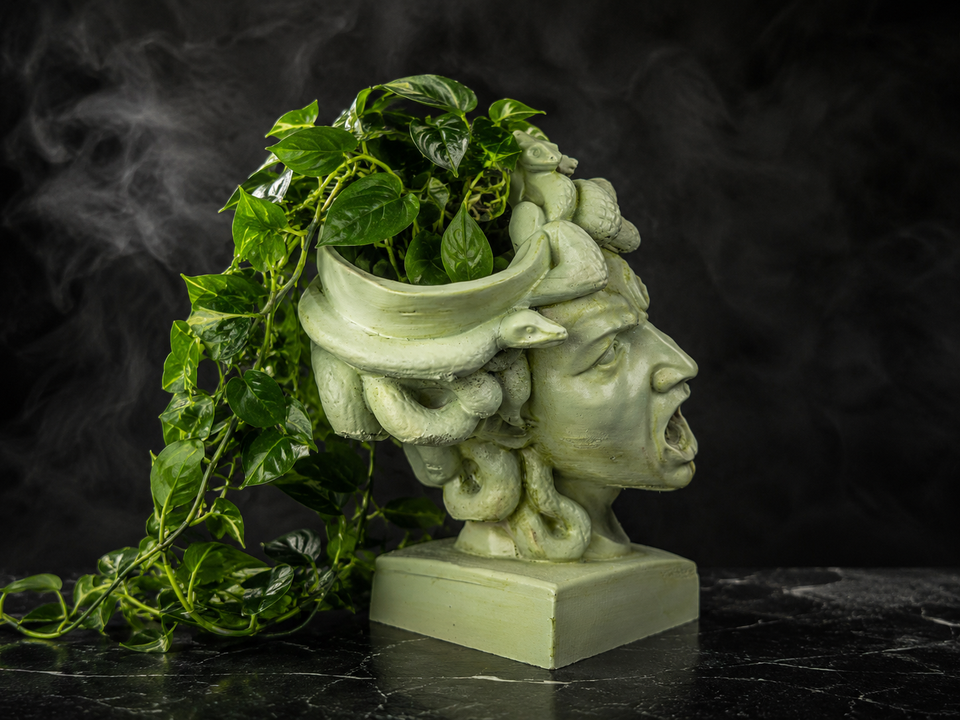 The Gorgon's Bloom Medusa cast stone planter with trailing green plant