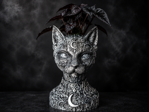 The Witch's Familiar Cat Planter shown front-facing with dark foliage
