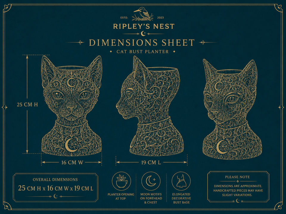 Dimension sheet for The Witch's Familiar Cat Planter showing 25 cm high by 16 cm wide by 19 cm long