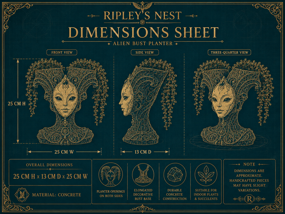 Dimension sheet for The Blue Trickster showing 25 cm high by 13 cm deep by 25 cm wide
