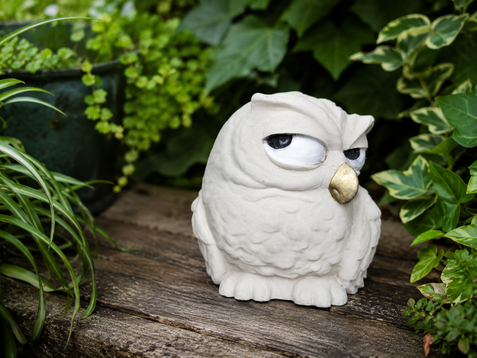 The Little Critic owl garden statue angled on a wooden garden bench among green plants