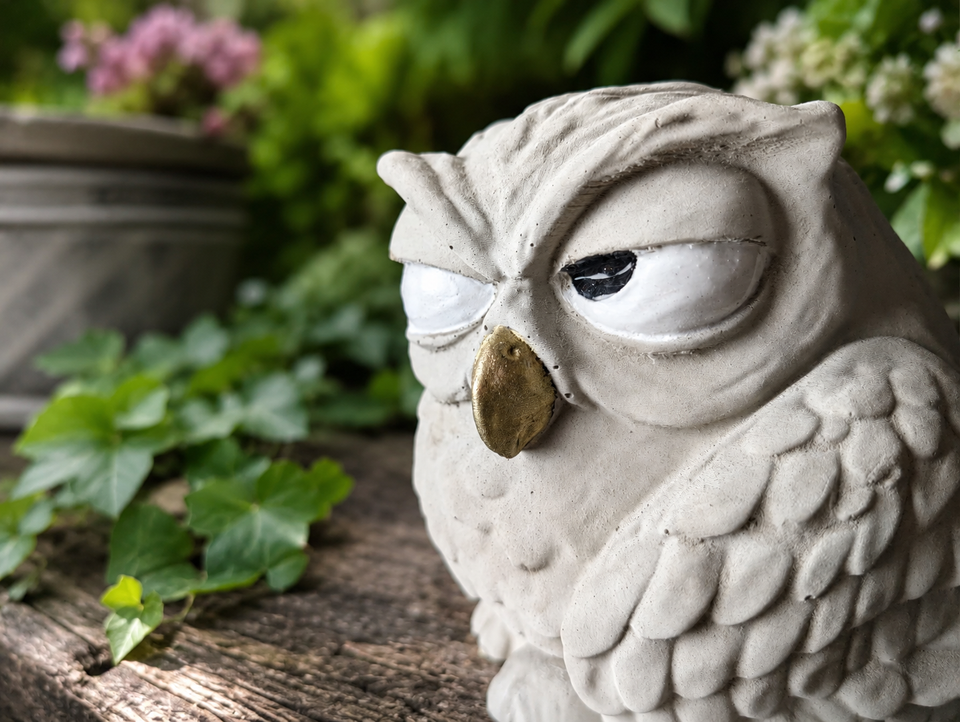 Close detail of The Little Critic owl garden ornament showing textured cast stone and painted eye detail