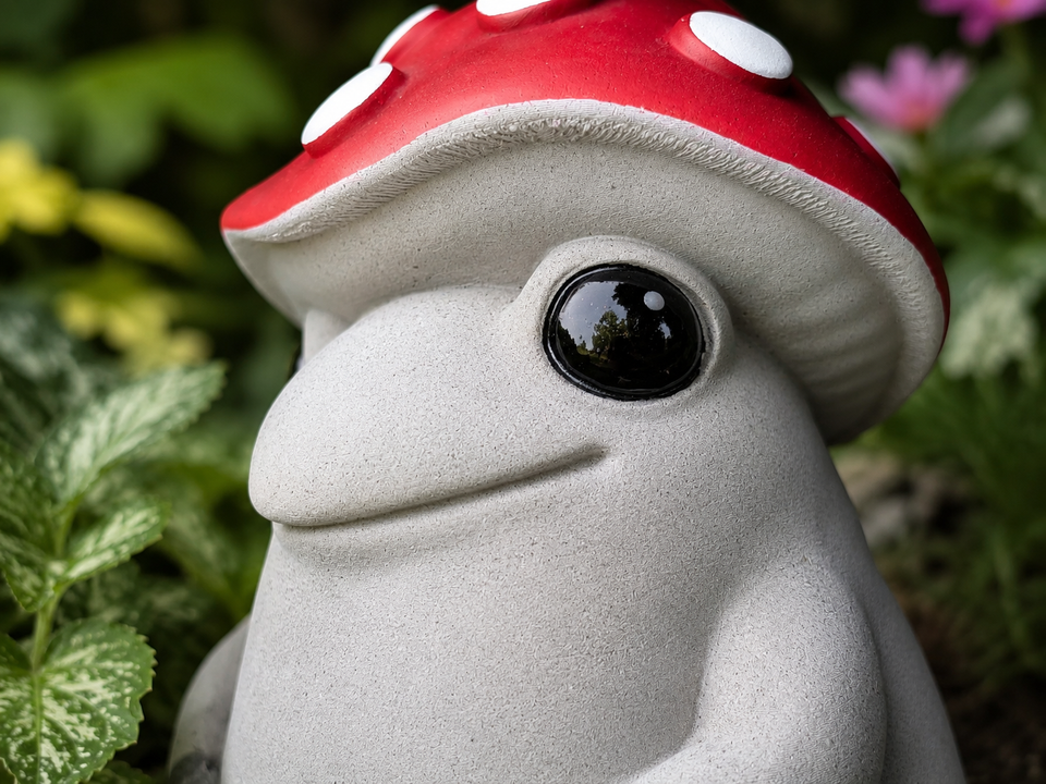 Close-up detail of Mallowcap mushroom frog face with black eye and red spotted cap