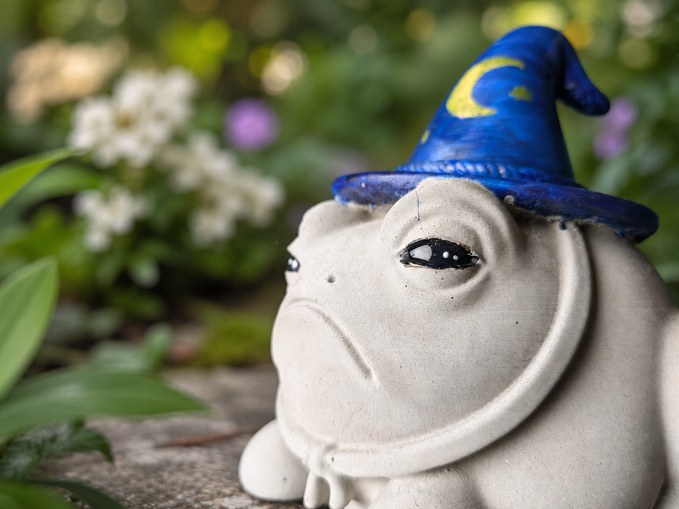 Close-up of Professor Grumbletoad wizard frog face and blue moon hat