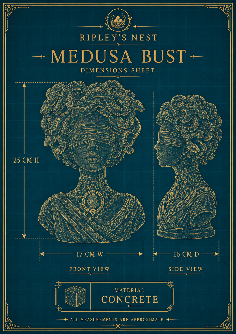 Dimensions sheet for Medusa Still Standing showing 25 cm high by 17 cm wide by 16 cm deep