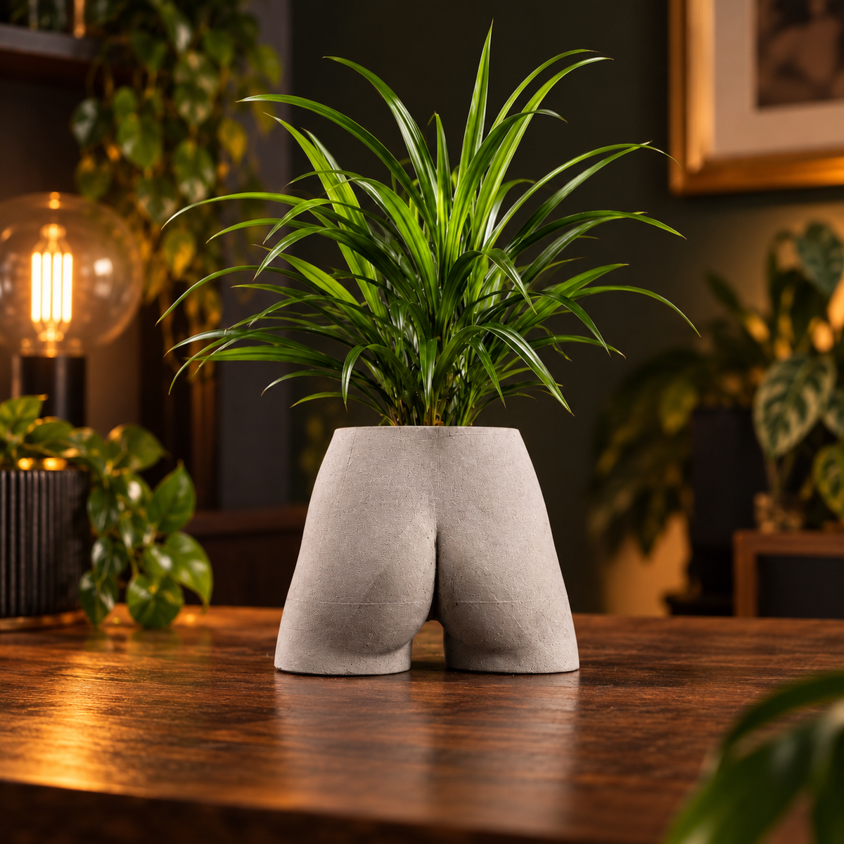 Bum planter