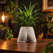 Bum planter