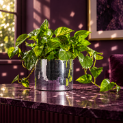 Mirror-tile plant pot