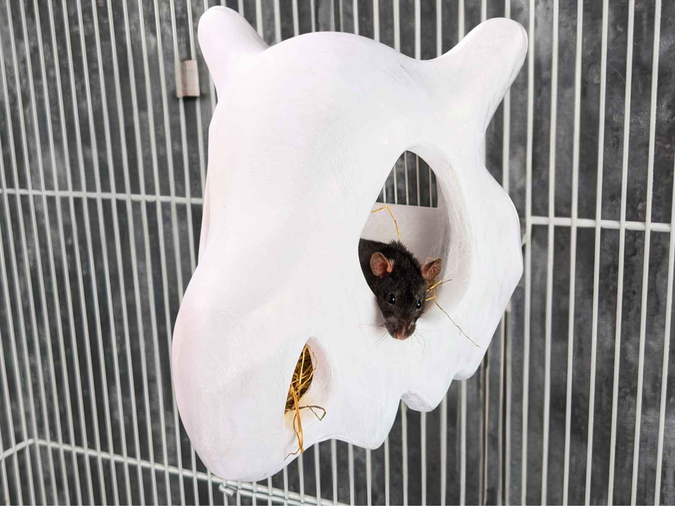 Gothic Skull Rat Hideout & Hanging Nest top-down view showing interior