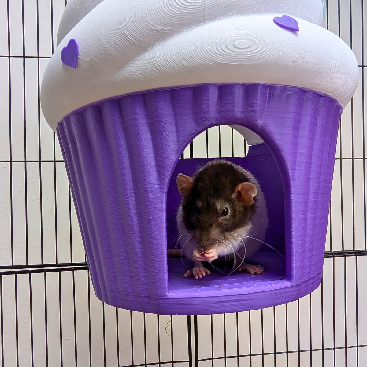 Cupcake Rat Hide & Bed front view showing entrance