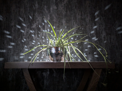 Hanging Disco Ball Planter