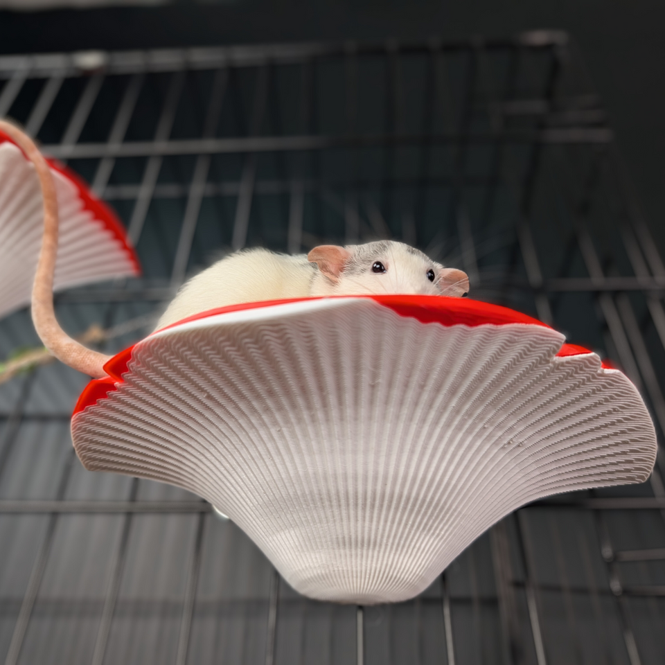 Mushroom Rat Shelf Pair attachment mechanism close-up